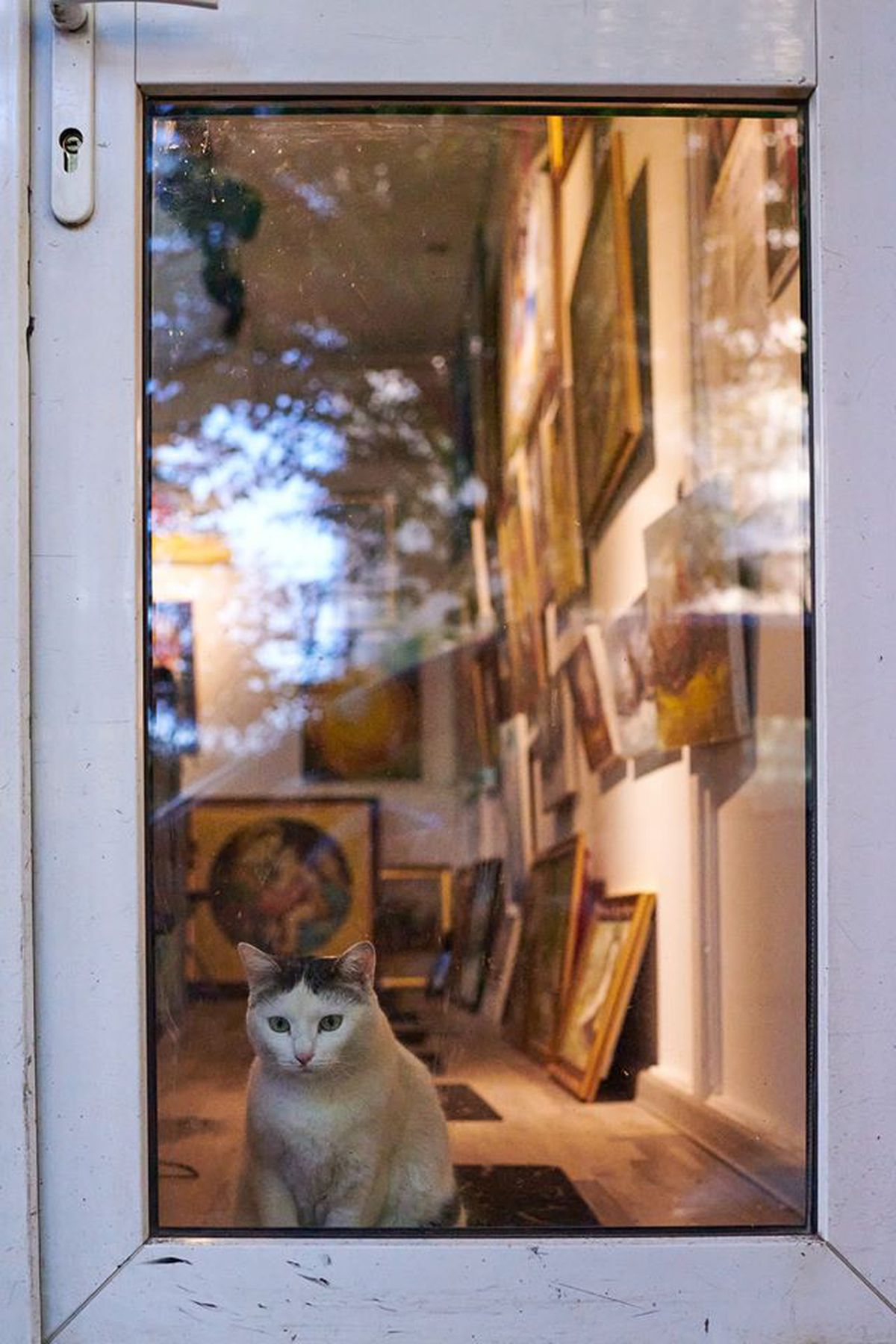 Klaus Iohannis, declarații importante despre restricțiile de după 15 mai: ce se redeschide și ce se întâmplă cu activitățile sportive