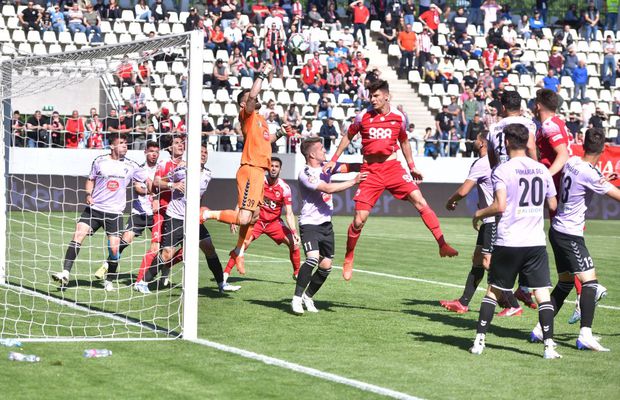 „E o ușoară disperare la Dinamo” » Cum vede un antrenor situația „câinilor” după egalul cu Unirea Dej