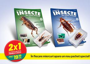 O colecție inedită pentru copiii curioși și isteți: Insecte din lumea întreagă