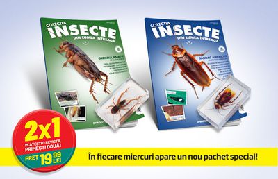 O colecție inedită pentru copiii curioși și isteți: Insecte din lumea întreagă