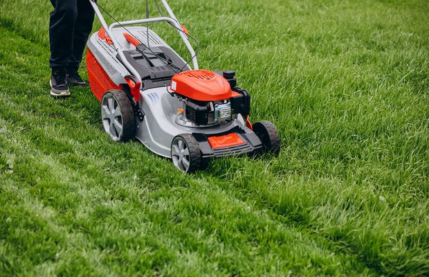 5 motive pentru a alege o mașină electrică de tuns iarba