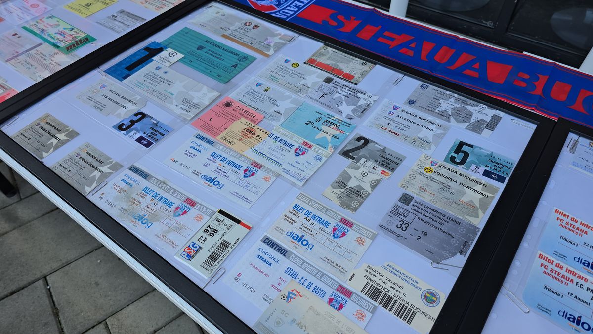 Deschiderea magazinului oficial al Stelei