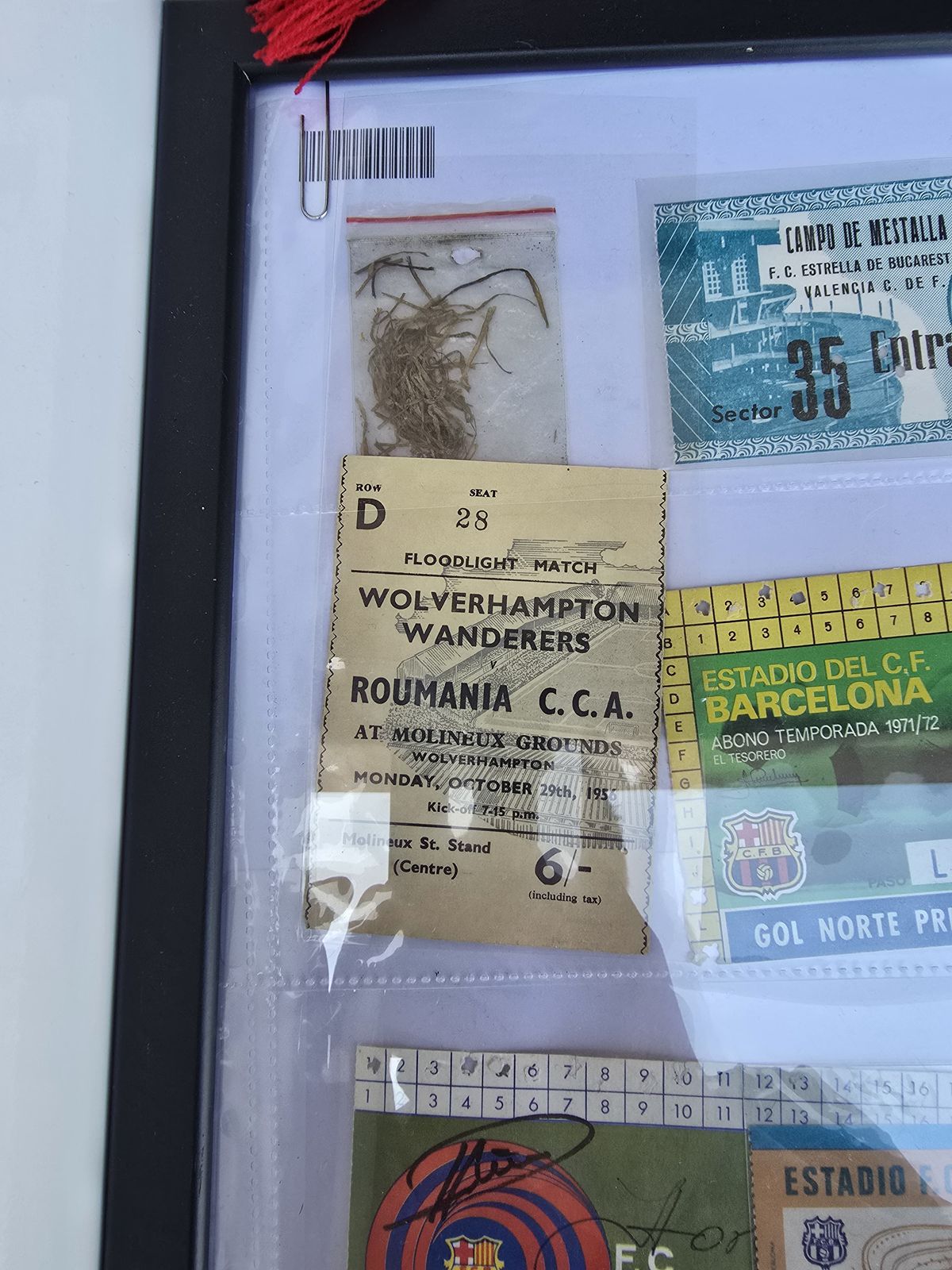 Deschiderea magazinului oficial al Stelei