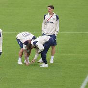 Austria - România, imagini de la inspecția gazonului // foto: Ionuț Iordache (GSP)