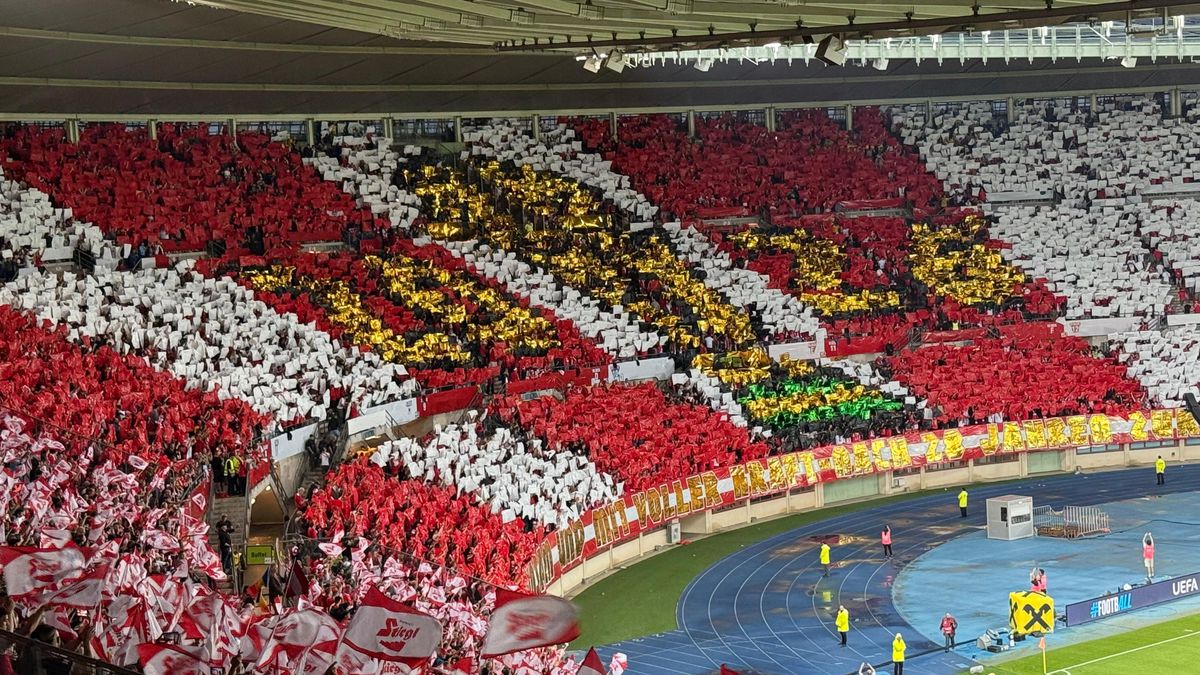 Suporteri romani în Austria - România - torte si mesaje