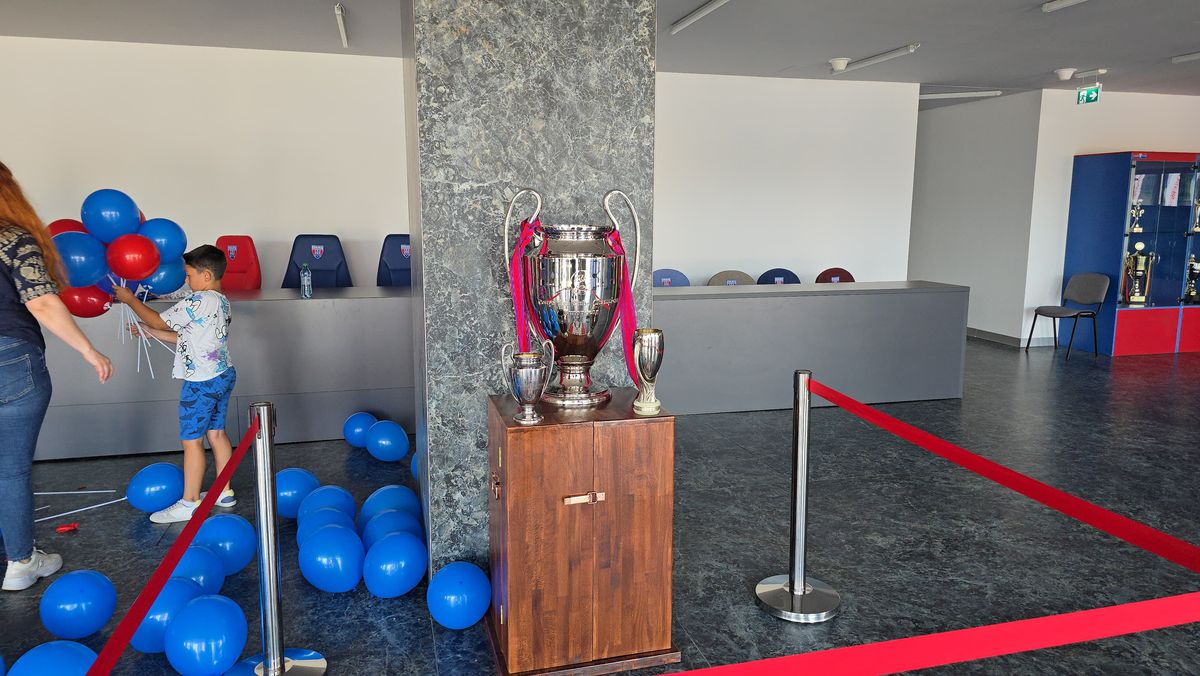 Deschiderea magazinului oficial al Stelei