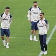 Austria - România, imagini de la inspecția gazonului // foto: Ionuț Iordache (GSP)