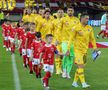 Austria - România, meci de la Viena. Foto: Ionuț Iordache (GSP.RO)