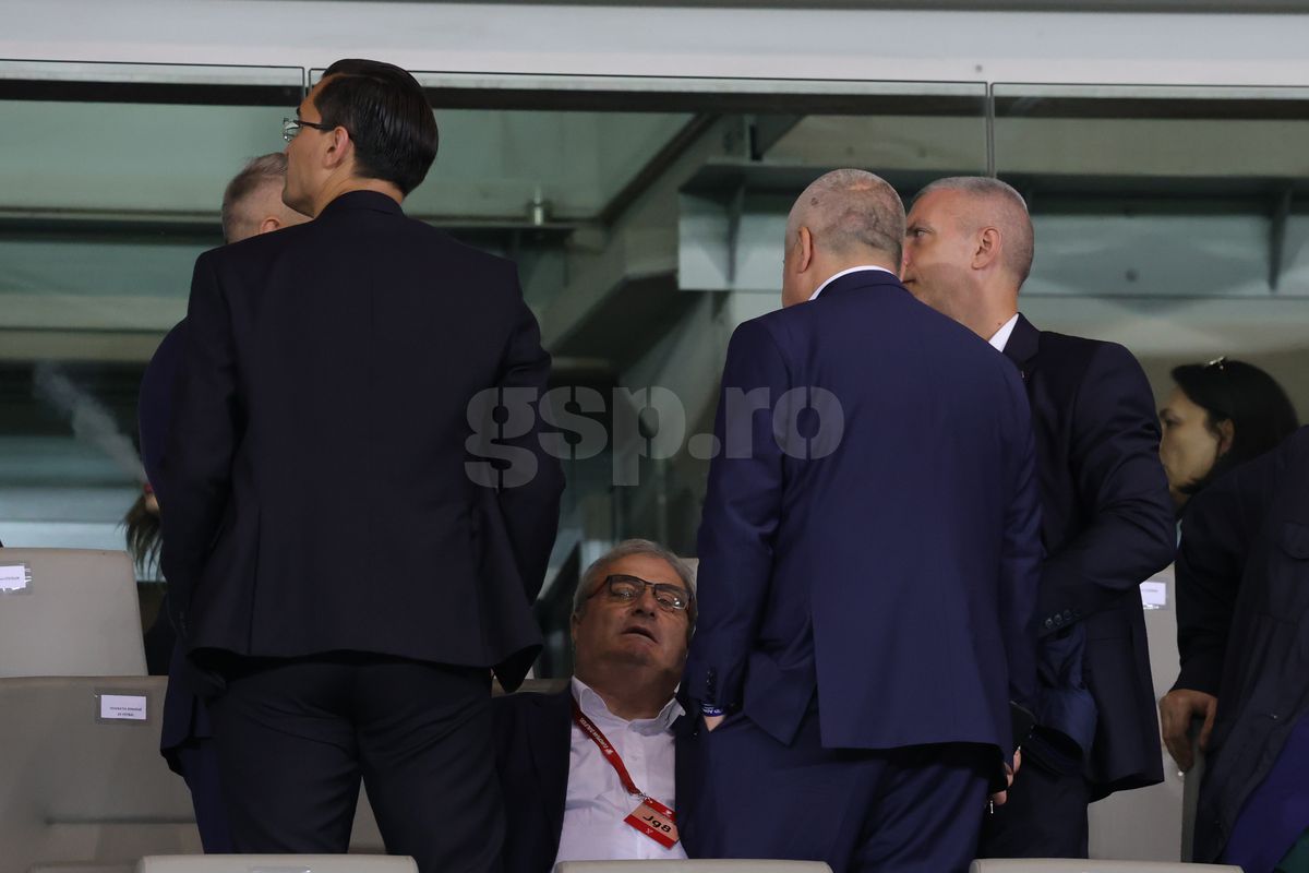 Răzvan Burleanu, în tribune la meciul Austria - România 2-1