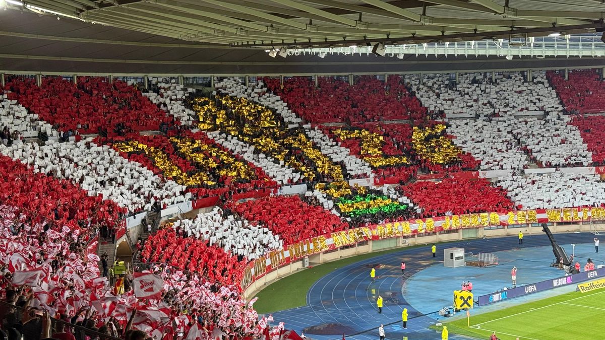 Suporteri romani în Austria - România - torte si mesaje