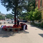 Imagini înainte de Albania - Serbia, meci cu risc maxim în preliminariile Campionatului Mondial din 2026. FOTO: sportal.blic.rs