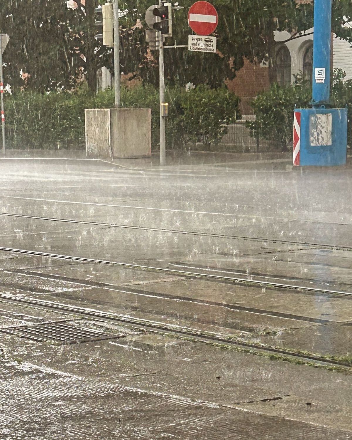 Fanii României în Stephansplatz, Viena