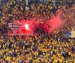 Atmosferă suporteri în Austria - România, meci de la Viena. Foto: Andrei Crăițoiu (GSP.RO)