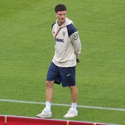 Austria - România, imagini de la inspecția gazonului // foto: Ionuț Iordache (GSP)