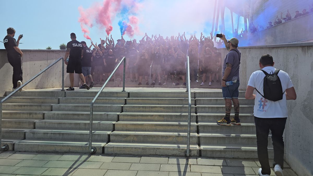 Deschiderea magazinului oficial al Stelei