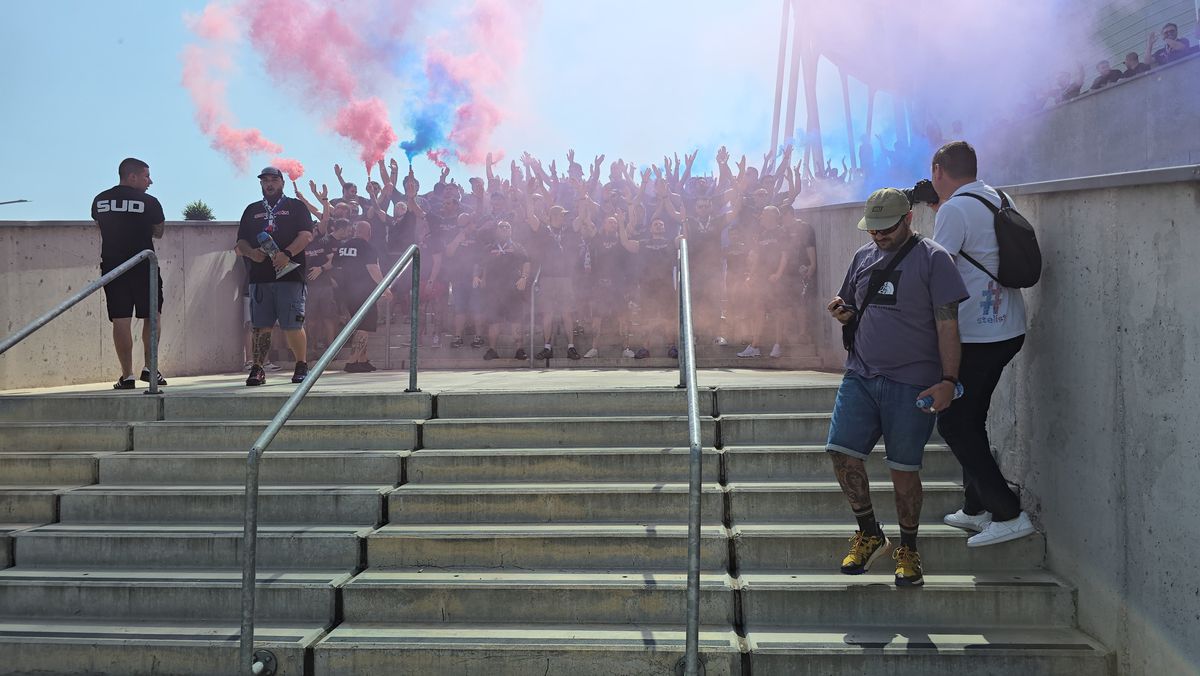 Deschiderea magazinului oficial al Stelei