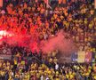 Atmosferă suporteri în Austria - România, meci de la Viena. Foto: Andrei Crăițoiu (GSP.RO)