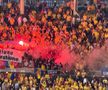 Atmosferă suporteri în Austria - România, meci de la Viena. Foto: Andrei Crăițoiu (GSP.RO)