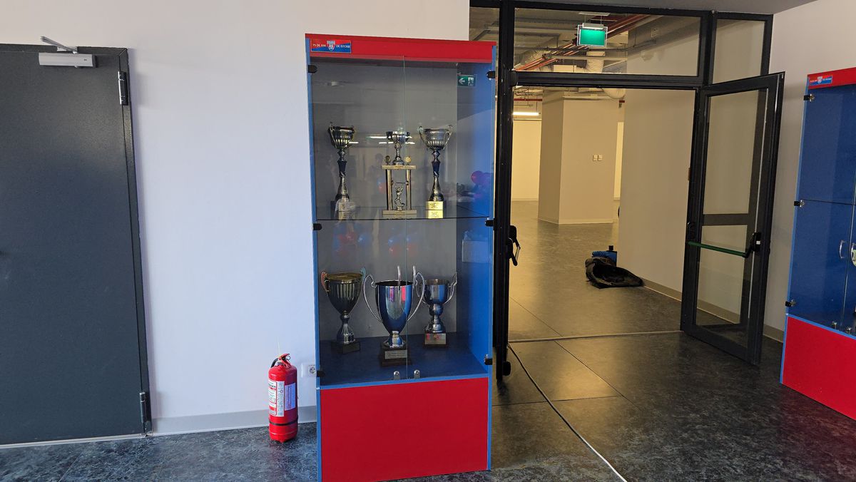 Deschiderea magazinului oficial al Stelei