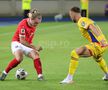 Austria - România, meci de la Viena. Foto: Ionuț Iordache (GSP.RO)