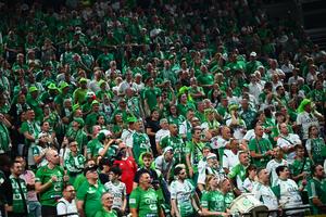 Gyor - Metz, marea finală a Ligii Campionilor la handbal » GSP transmite de la Budapesta