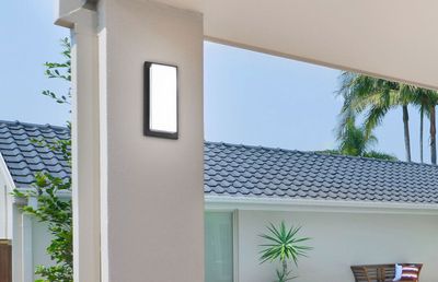 Felinare pentru exterior: Ce sunt și cum pot fi folosite?