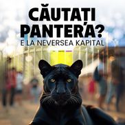 Imagini generate cu ia cu pantera neagră/ sursă foto: Facebook