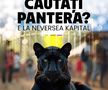 Imagini generate cu ia cu pantera neagră/ sursă foto: Facebook