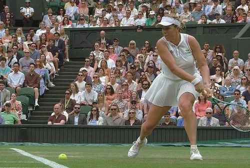 Anastasia Pavlyuchenkova și greșeala de arbitraj