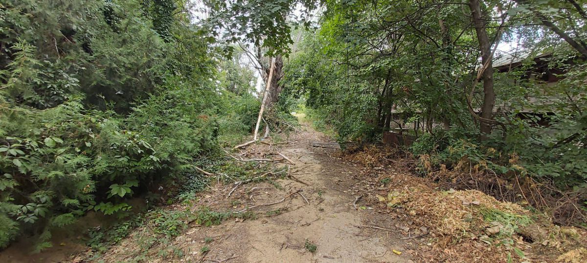 Ștrandul rațelor sălbatice » De 4 ani, autoritățile blochează renovarea Bazei Tineretului