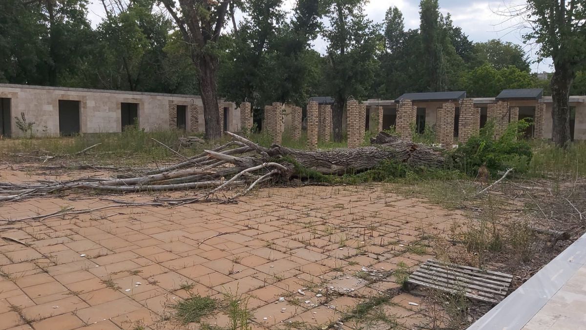 Ștrandul rațelor sălbatice » De 4 ani, autoritățile blochează renovarea Bazei Tineretului