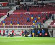 AUSTRIA - ROMÂNIA 2-3. Denis Alibec, marcatorul primului gol: „Am vrut să mergem peste ei, la asta am lucrat”