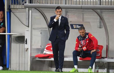 AUSTRIA - ROMÂNIA 2-3. Flancul drept al naționalei, în piuneze! Două improvizații ale lui Rădoi