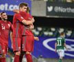 Irlanda de Nord - Norvegia 1-5 » Victorie categorică a rivalilor din grupă! Cum arată clasamentul acum
