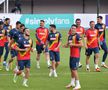 Antrenamentul oficial al României la Skopje, cu 17 fotbaliști » Rădoi s-a băgat la joc + Ultimele detalii de la trimișii GSP