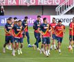 Antrenamentul oficial al României la Skopje, cu 17 fotbaliști » Rădoi s-a băgat la joc + Ultimele detalii de la trimișii GSP