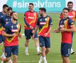 Antrenamentul oficial al României la Skopje