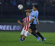 Omagiul adus lui Luis Suarez de către fanii Uruguayului / Sursa foto: Getty Images