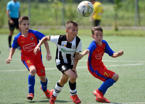 Academiile vor decide licenţele de Liga 1 » FRF schimbă regulamentul!