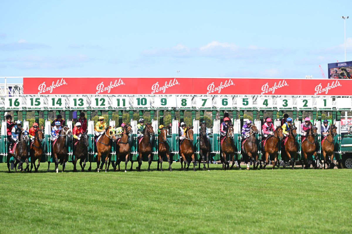Imagini incredibile în Australia! Ce s-a întâmplat la Victoria Derby Day 2023