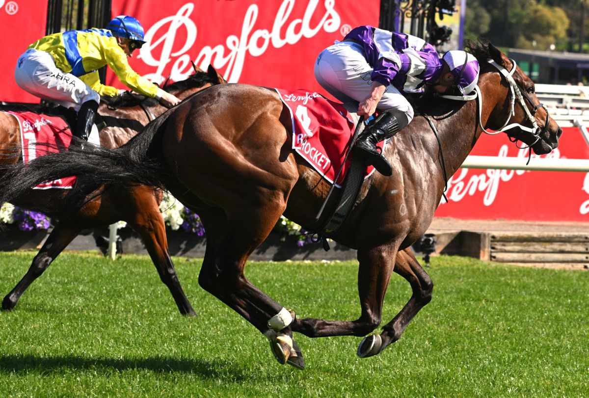 „Măcel la beție” » Peste 85.000 de oameni au făcut haos la cea mai importantă cursă de cai din țară