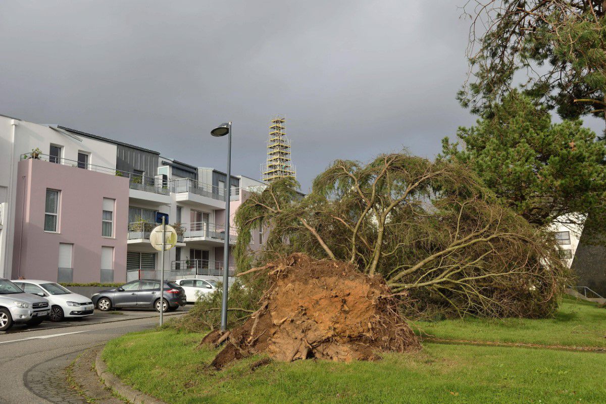 Furtuna Ciaran a lovit Europa! Vedeta din Serie A și-a luat cizmele și a ieșit pe străzi pentru a ajuta la curățenie