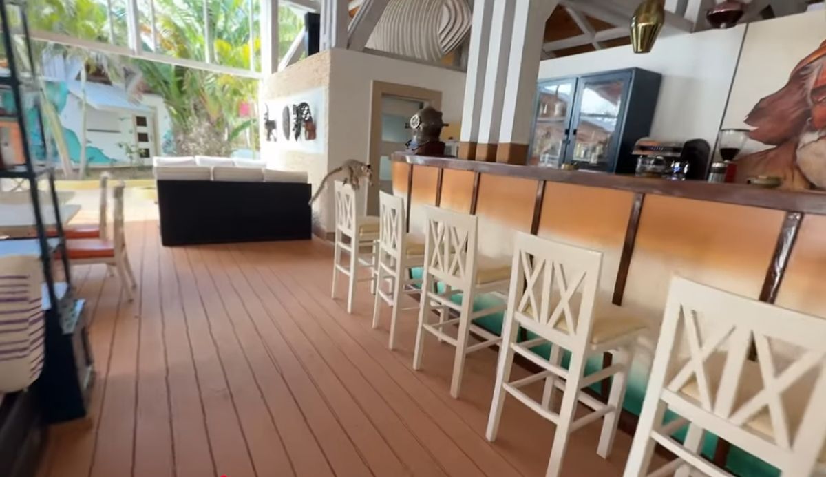 L-a găsit pe controversatul Radu Mazăre: lucra la construcția unui teren pentru un sport inedit! Imaginile postate de un celebru vlogger român