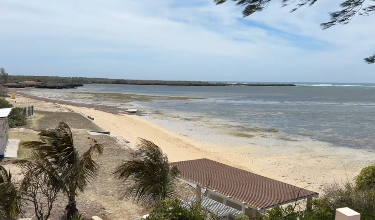 L-a găsit pe controversatul Radu Mazăre: lucra la construcția unui teren pentru un sport inedit! Imaginile postate de un celebru vlogger român