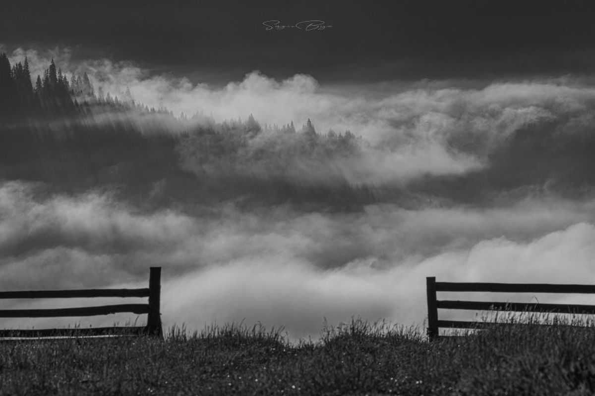 Fotograful Sergiu Bejan, canotorul de calibru cu o pasiune specială