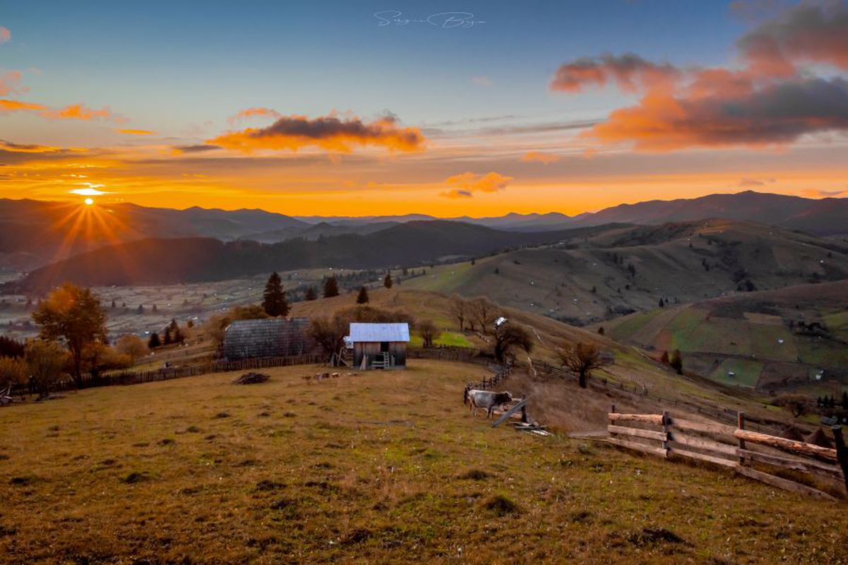 Fotograful Sergiu Bejan, canotorul de calibru cu o pasiune specială