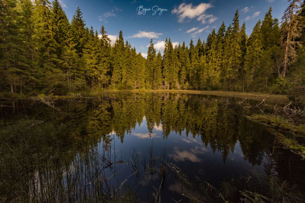 Fotograful Sergiu Bejan, canotorul de calibru cu o pasiune specială