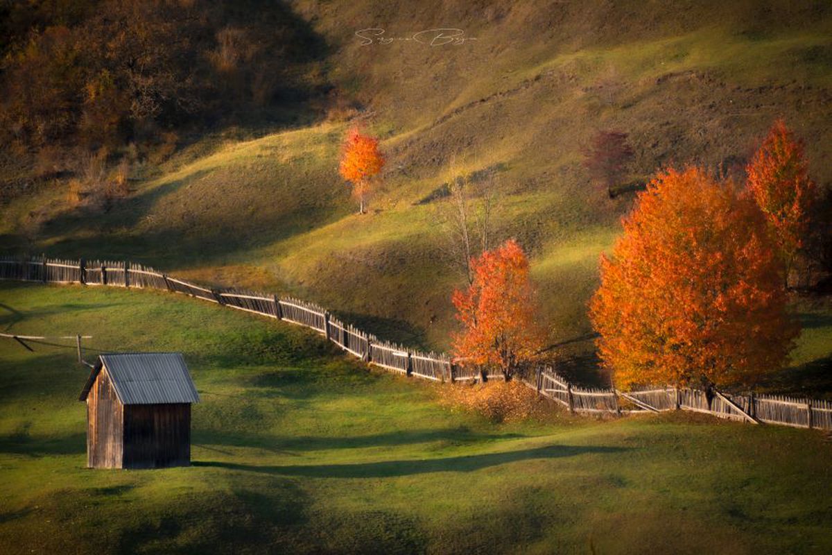 Fotograful Sergiu Bejan, canotorul de calibru cu o pasiune specială