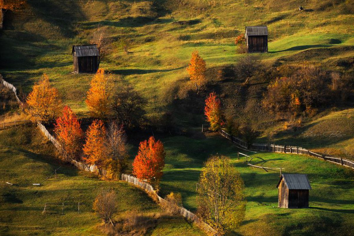 Fotograful Sergiu Bejan, canotorul de calibru cu o pasiune specială