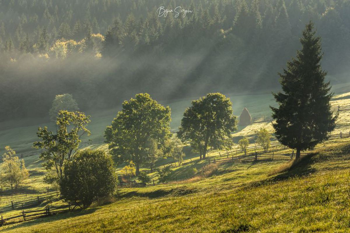 Fotograful Sergiu Bejan, canotorul de calibru cu o pasiune specială